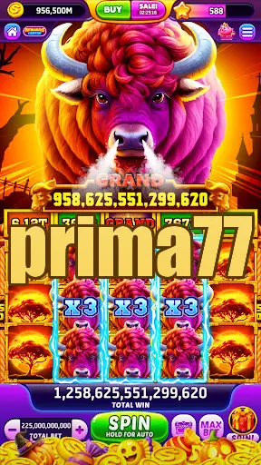 prima77 Masuk